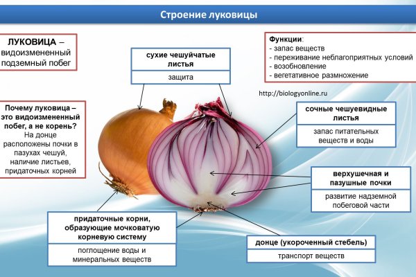 Кракен ссылка 25