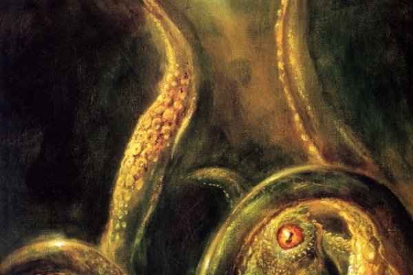 Ссылки зеркала на kraken